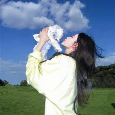 刘少奇的四十四天